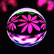 Orb