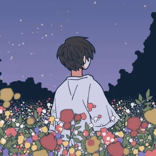 magic night