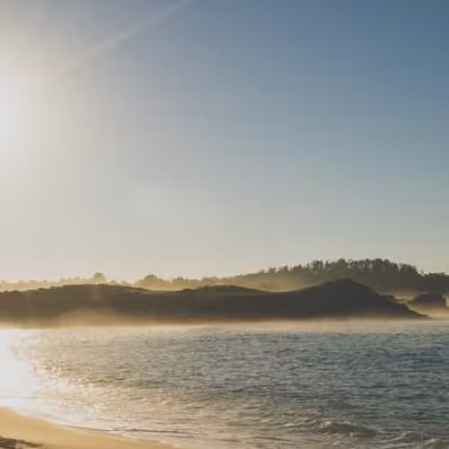 Metallica Scale Pittsburgh