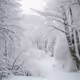snow