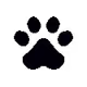 PET SOCCER