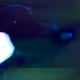 Zora Posts