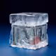 Dolar Ice Cube