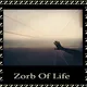 Zorb Of Life