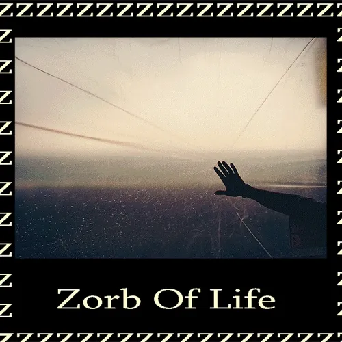 Zorb Of Life