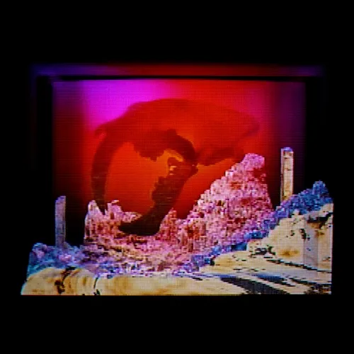 Incyte Insyght Insyde