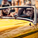 Car Monkeys