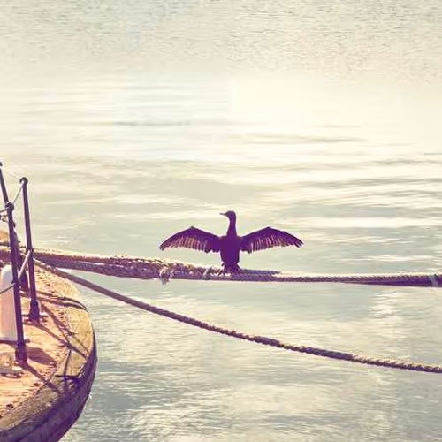 Shipments Unemployment