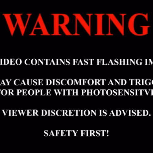 Amanita muscaria trip