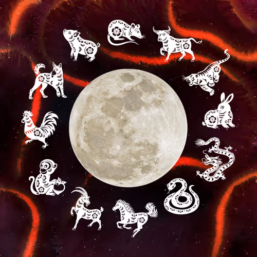 12 Zodiac in lunar calendar