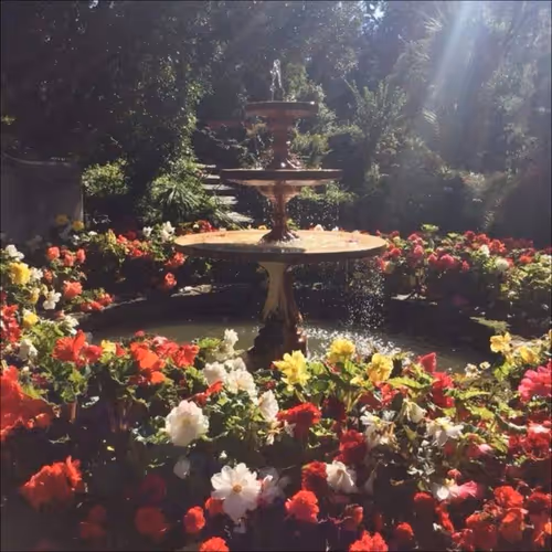fountain
