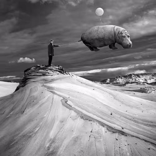 Landscape of Illusions