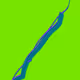 root systems