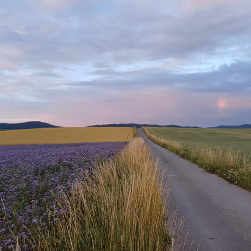 DaRoad