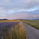 DaRoad
