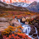 Fall
