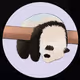 0x08301901f0e54f25a56c35fcb8bc08b7cd4113cc