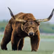 BULLBEAR