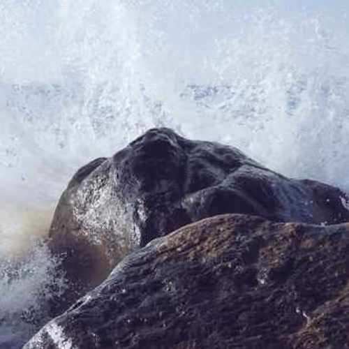 Rapid Copies Worldwide