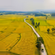 Nice Field