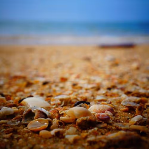 Potato Lessons Remix