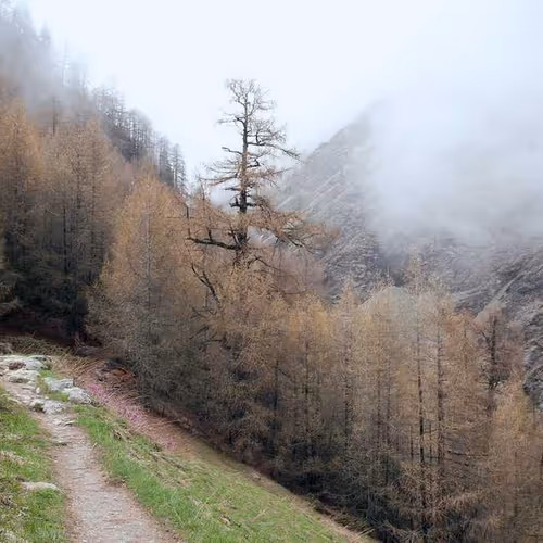 Continuous Summaries Believes