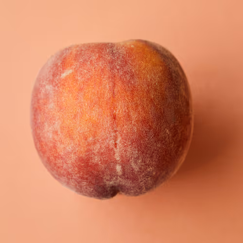 sopodo