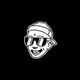 8bit