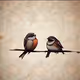 birdie