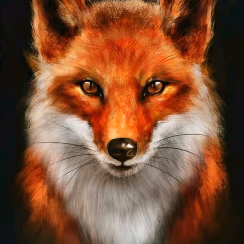 Red sly fox arts