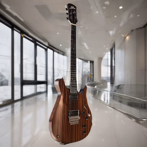 Guitar