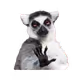 ETH