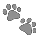 The Forest of Debauchery