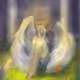 Angel_2