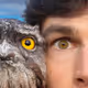 We are all animals