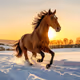 Pristine Snow