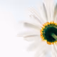 Biotechnology