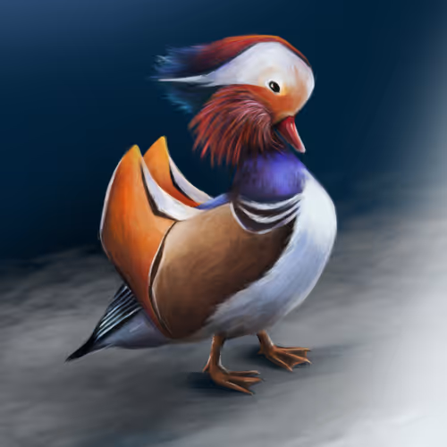 Mandarin duck