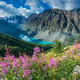 Altay