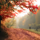 0x39f7870a9b8fb8a2657263a8a1dec13e6b32f624