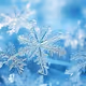 snow