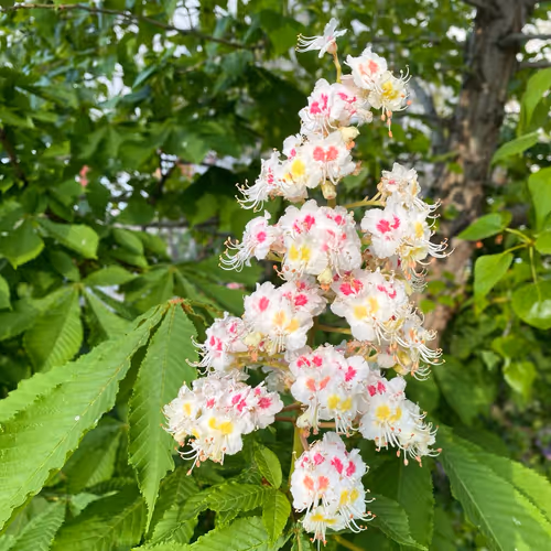 0x189fa92b8a05ebf09ffaf30ddd780067db917b67