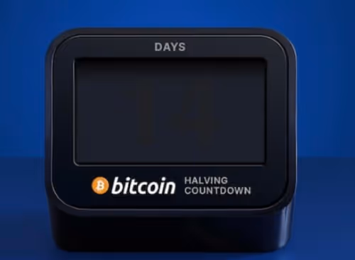 BTC halving countdown