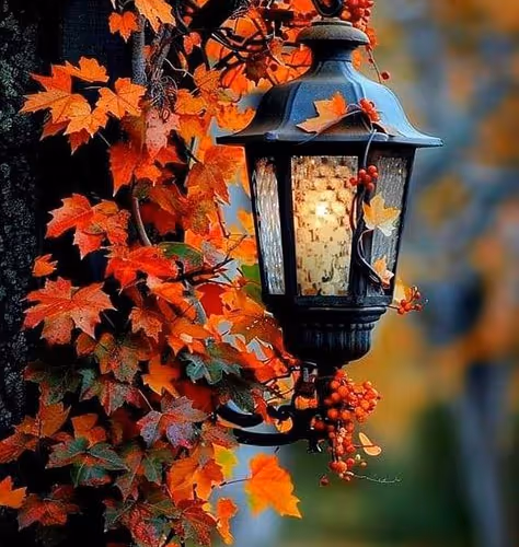 0x7e0e8703ce00b77a61693d23c5713252607f06fc