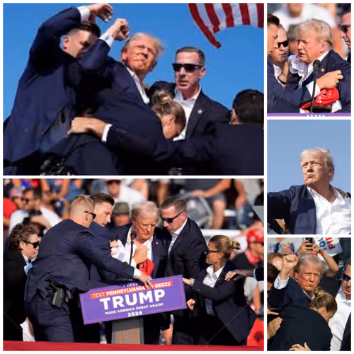 Trump Assasination Failed