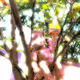 0x4d0180993eaaae91aa2a3fbdd8022ee1ef300360