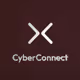 Cyber Cloth