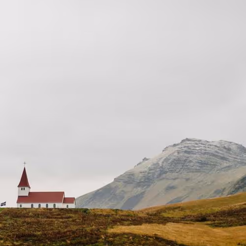 Springer Whatever Finland